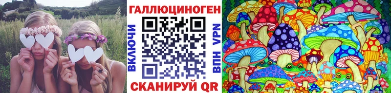Галлюциногенные грибы Psilocybe Тавда
